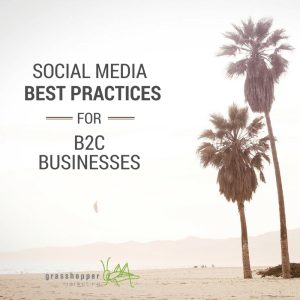 b2c social media